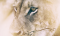 This image for Image Layouts addon