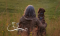 This image for Image Layouts addon